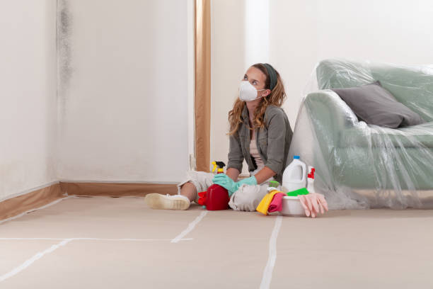 Reliable Mold Remediation contractor in Stanwood, MI by Cheap Mold Removal